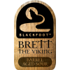 Бретт Зе Викинг