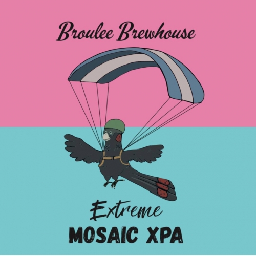 Экстрим Мозаик ИксПА