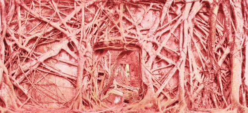 Империал Стаут - Баррел Эйджд Бленд #2