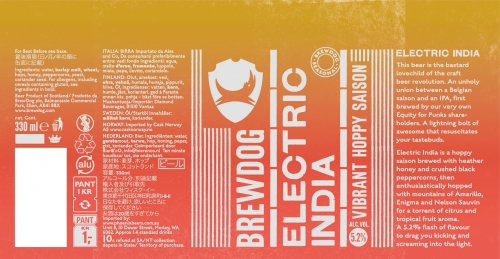 Электрик Индия