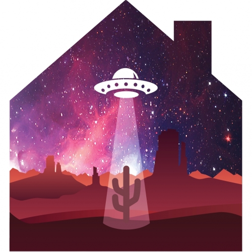 Спейс Кактус