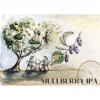 Маллберри ИПА