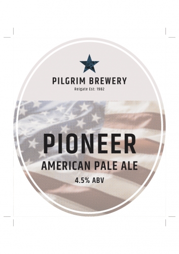 Пионер Эй-Пи-Эй