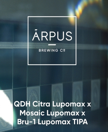 КьюДиЭйч Ситра Лупомакс х Мозаик Лупомакс х Бру-1 Лупомакс Триппель ИПА