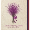 Лаванда Спринг Сезон