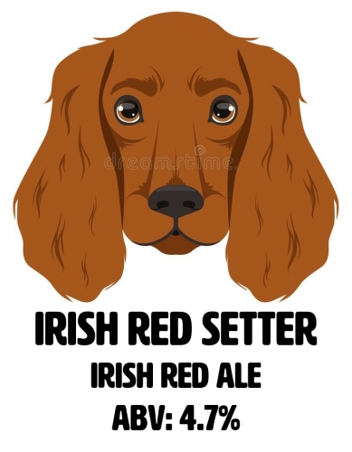 Айриш Ред Сеттер Эль