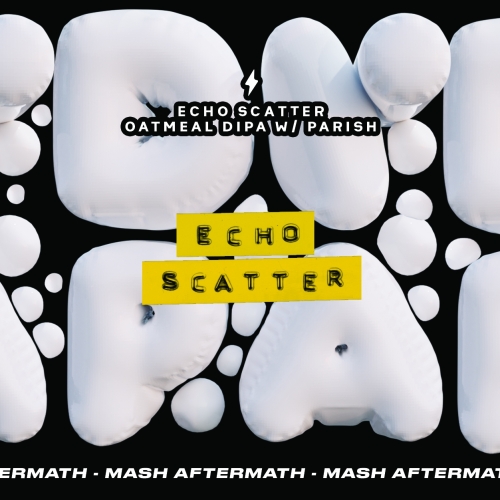 Эхо Скаттер