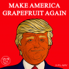 Мейк Америкэн Грейпфрут Эгейн