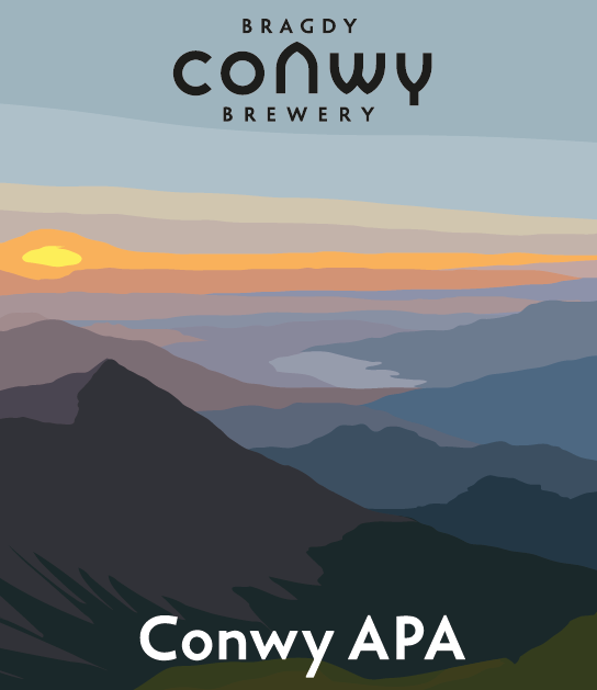 Конви Эй-Пи-Эй