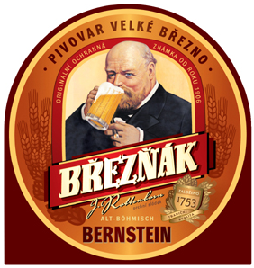 Бржезняк Бернштайн