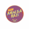 Амнезия Хейз ИПА