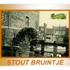 Стаут Бруинтье