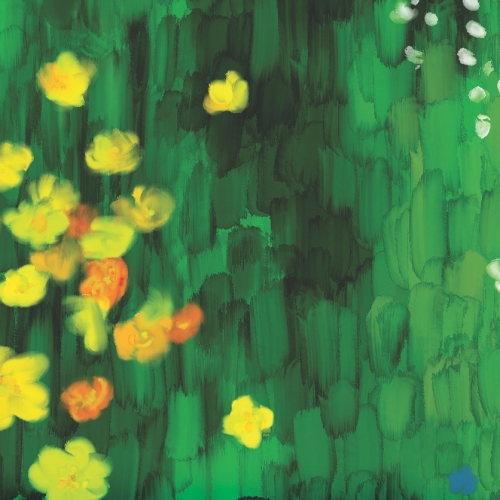 ДДХ Вит Эйл (Джаро)