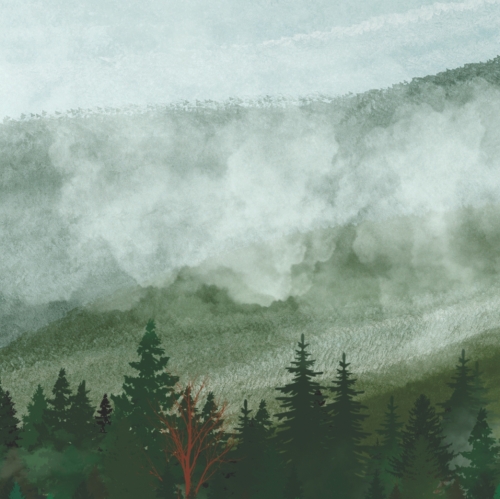 Нью-Ингленд ИПА 13 (Подзим)