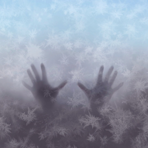 Нью-Ингленд ИПА 13 (Зима)