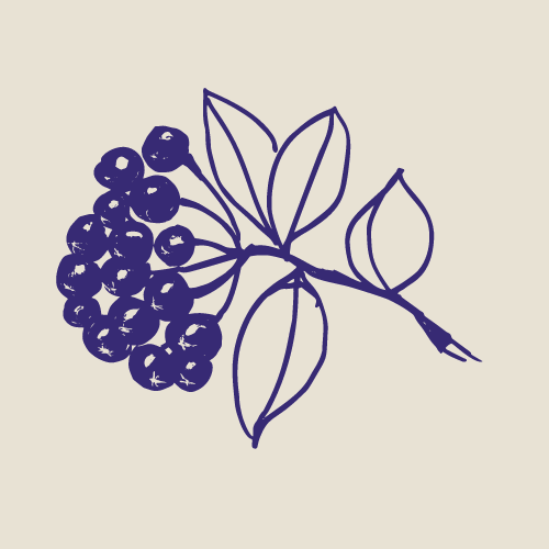 Гуд Беери Фарм Соур