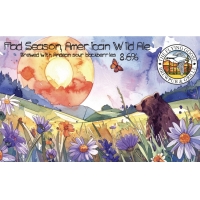 Мэд Сизн Американ Уайлд Эль