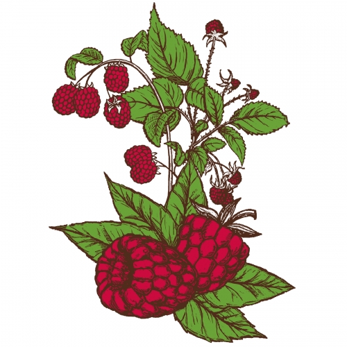 Распберри Соур