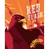 Ред Флэш