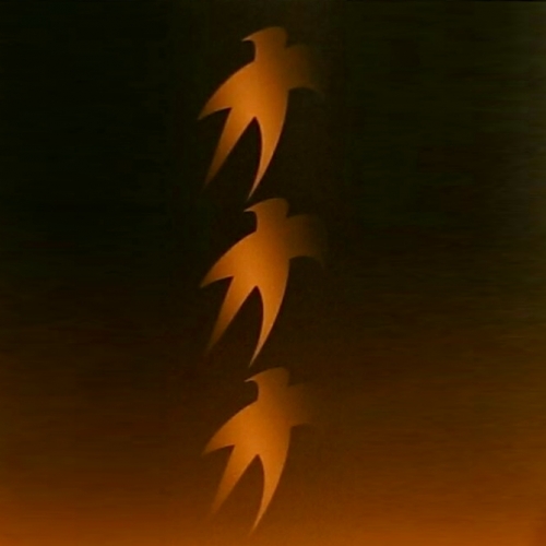 Триппель Орандж Старфиш