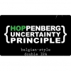 Хоппенберг Ансёртенти Принсипл
