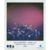 Блюберри Ванила Уайт Стаут