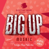 Биг Ап Мозаик