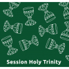 Сэшн Холи Тринити