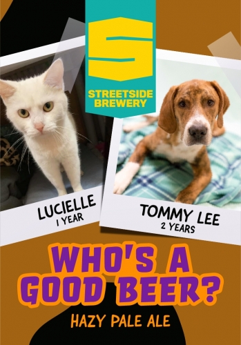 Хуз Э Гуд Бир