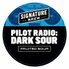 Пайлот Радио Дарк Саур