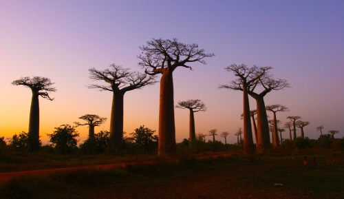 Империал Стаут - Баррел Эйджд Бленд Ваниль Де Мадагаскар