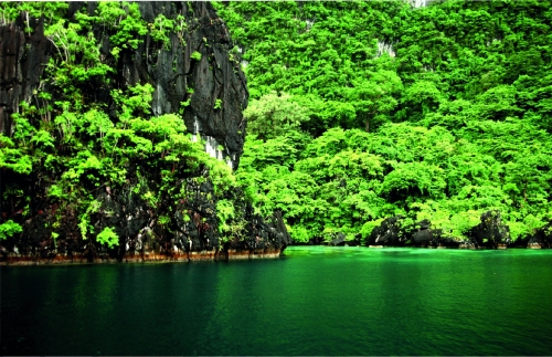 ПИЛС - Эликсир / Мистраль / Цитра