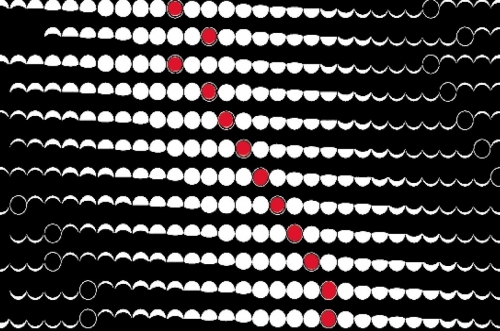 Двойной ИПА - Ситра Крио