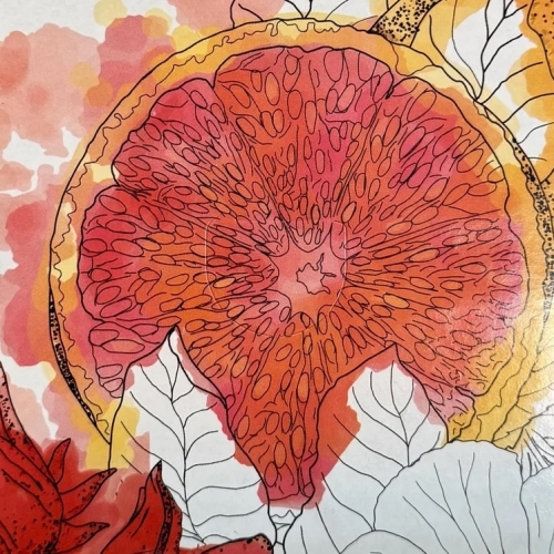 Грейпфрут Хибискус