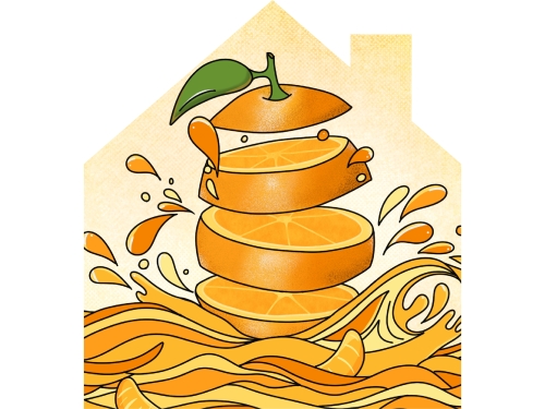 Зест Ап-Пил