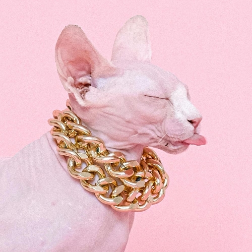 Гусберри Дэвил