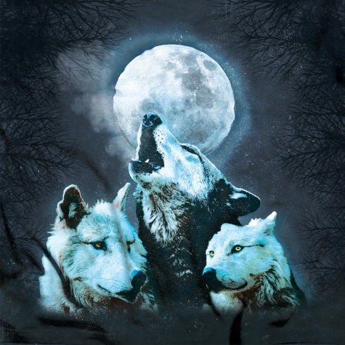 Вулф Шерт Лагер