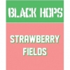 Строберри Филдс