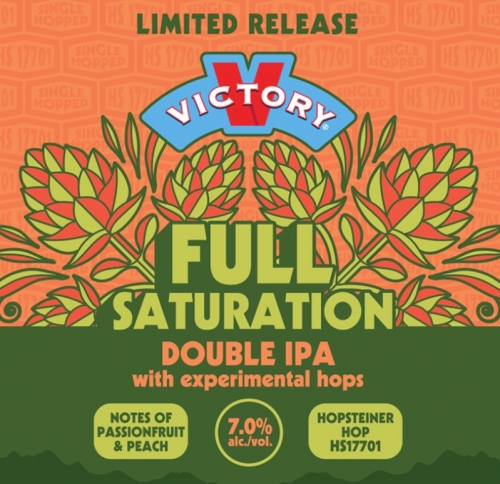 Фулл Сатурация ДИПА