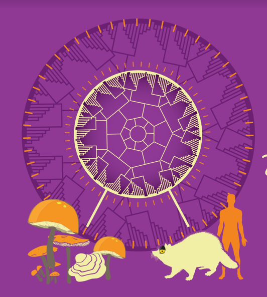 Три оф Лайф