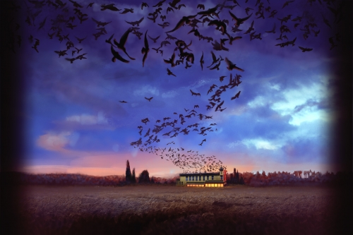 Райот оф зе Кроус