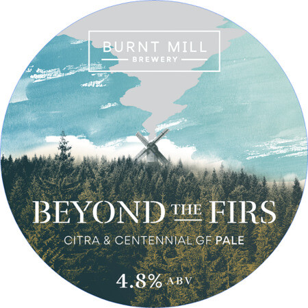 Бионд зе Фирс Глютен Фри Пейл Эль