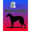Блэк Лёрчер