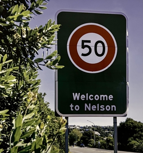 Нельсон Мэни Вэйс - Фристайл Хопс