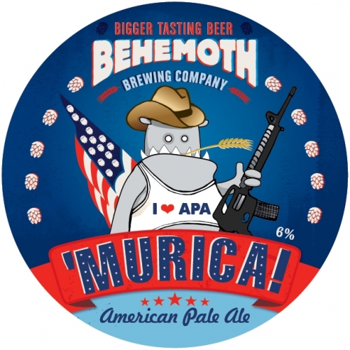 Мерика Эй-Пи-Эй