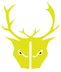 Тренди Джуз