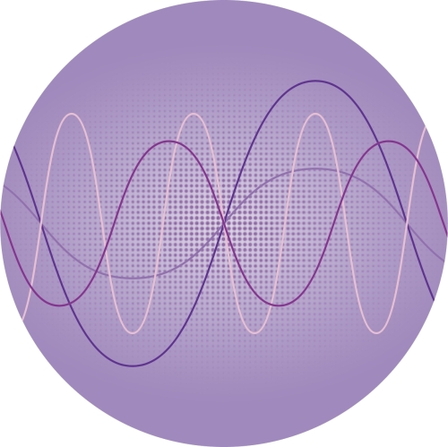 Тайм Капсул: Батч 1