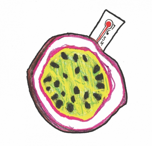 Пассионфебер