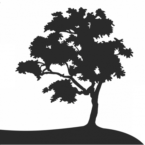 Ликвид Портер