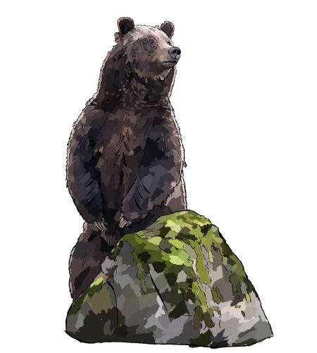 Гриззли Пилс